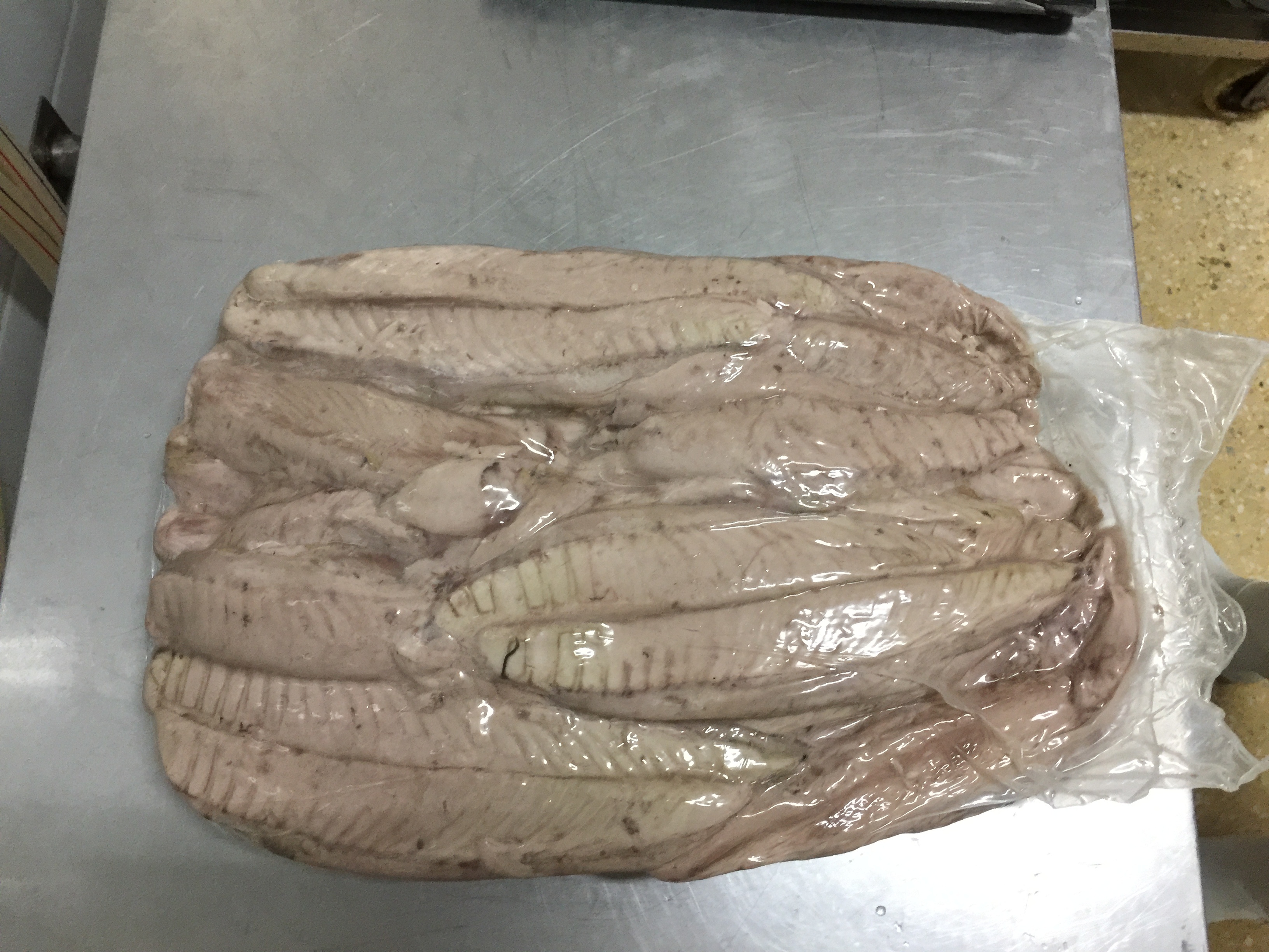 PRECOOKED TUNA LOIN AND FISH SHRINK PACKAGING