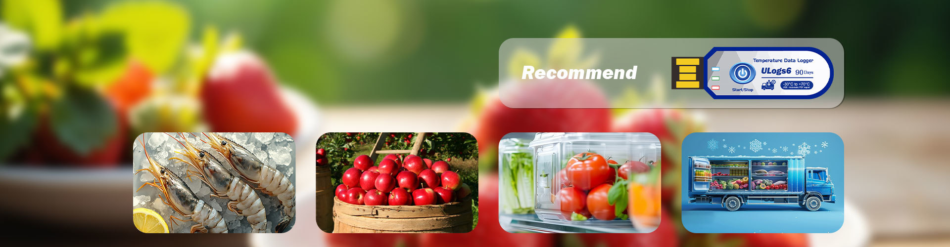 Loggers for Food Logistics