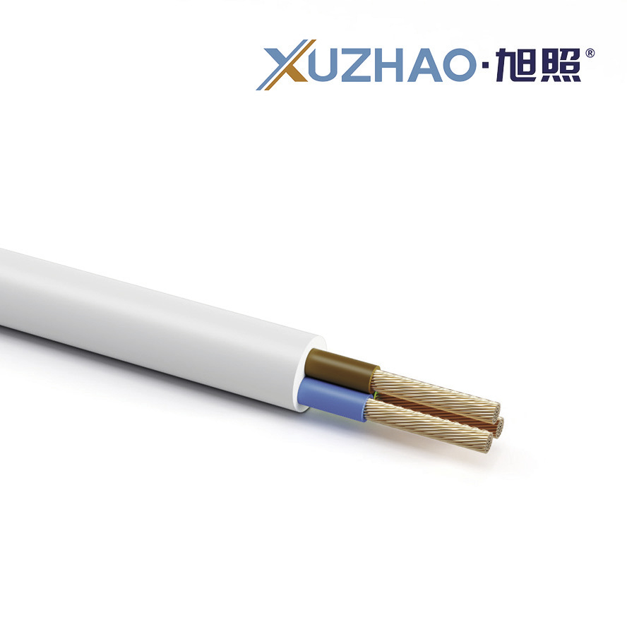 60227 IEC 53 (RVV) Chinese wire