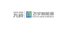 Feiyu New Energy