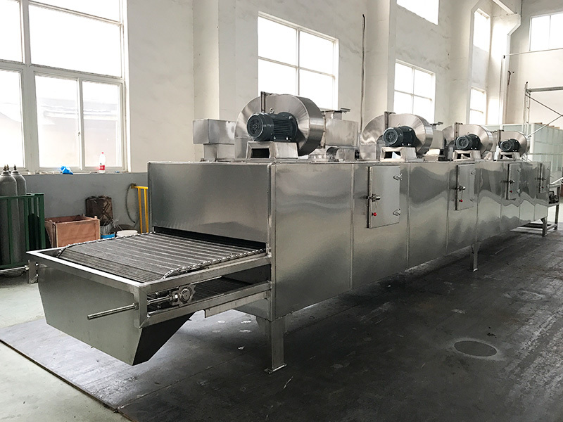 DWT type through-flow belt dryer