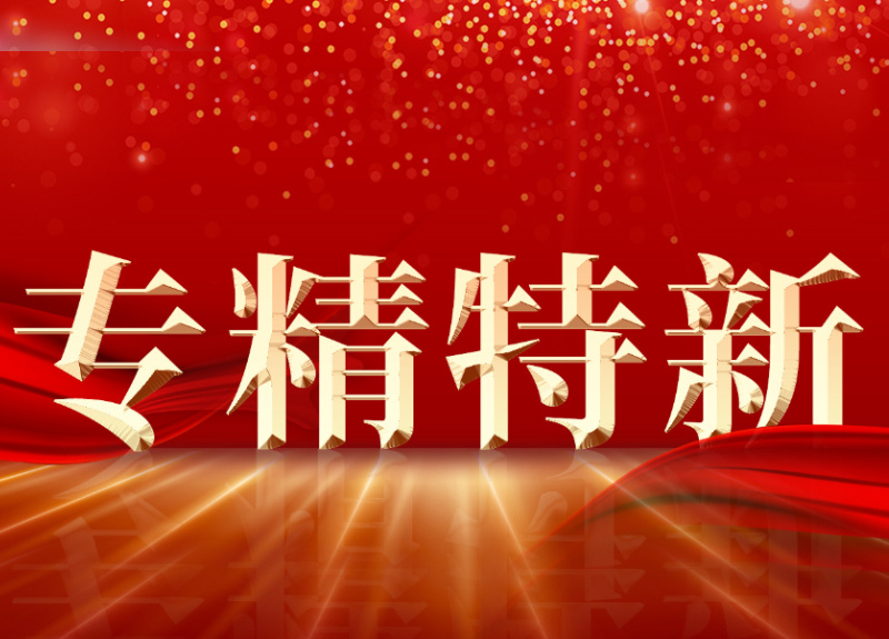 國家級榜單‖東華測試入選