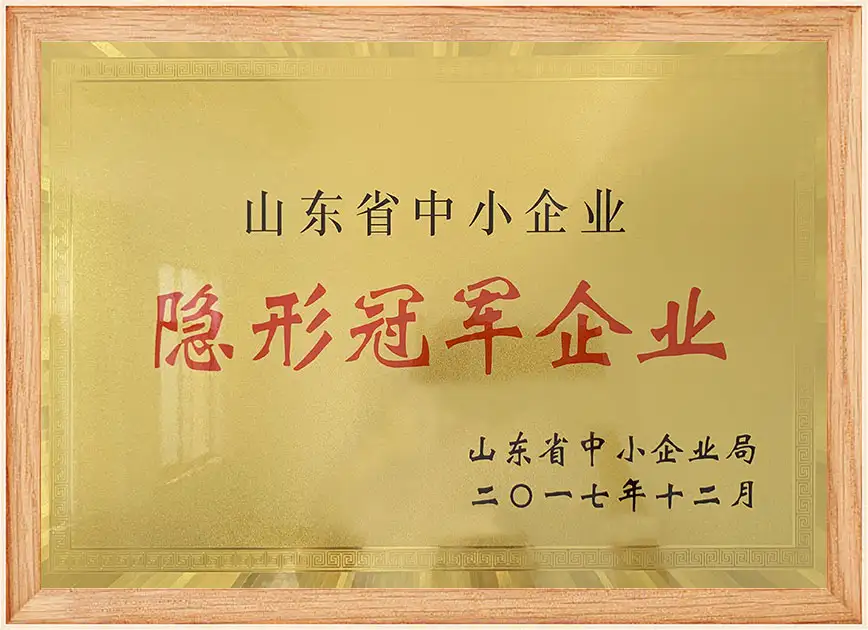 隐形冠军企业