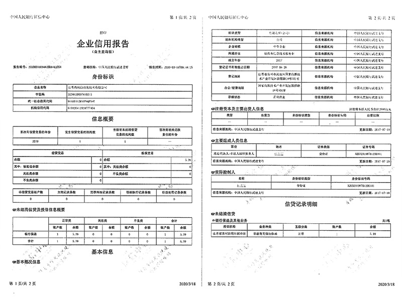 Bank credit evaluation