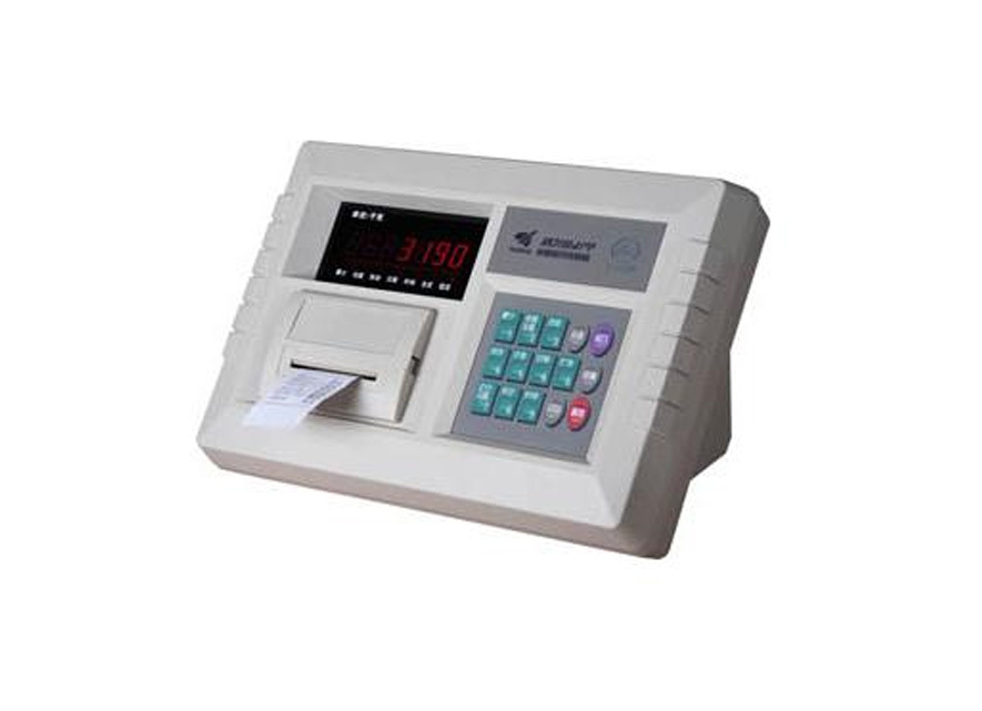 称重显示仪表-A1+P仪表