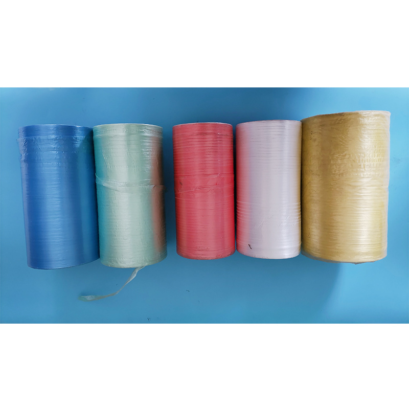 Plastic belt