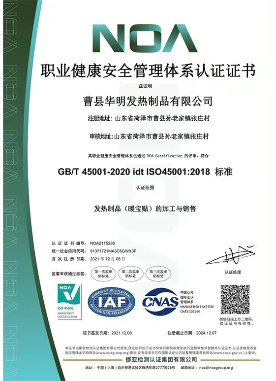 Occupational Health and Safety Management System Certificate