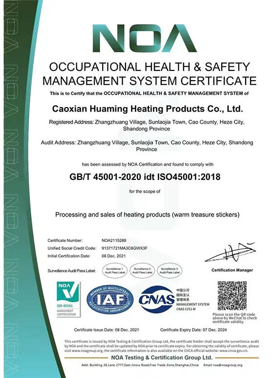 Occupational Health and Safety Management System Certificate