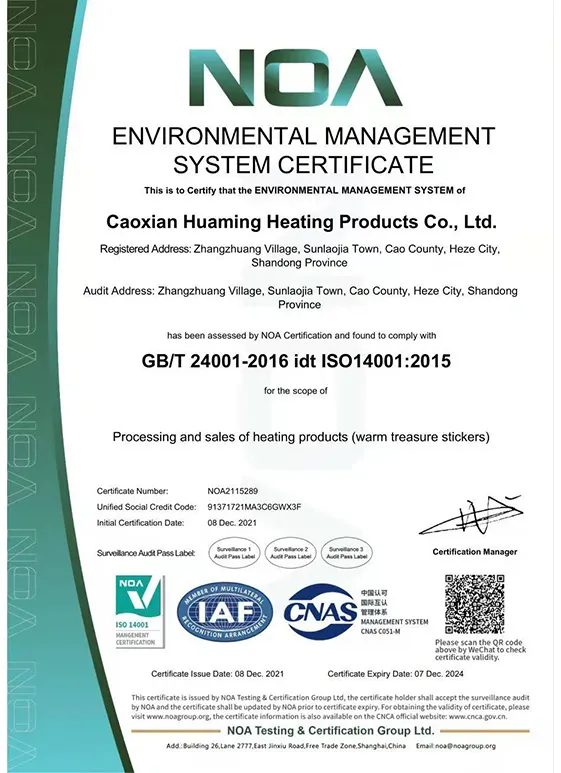 Environmental Management System Certificate