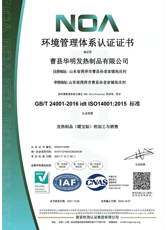 Environmental Management System Certificate