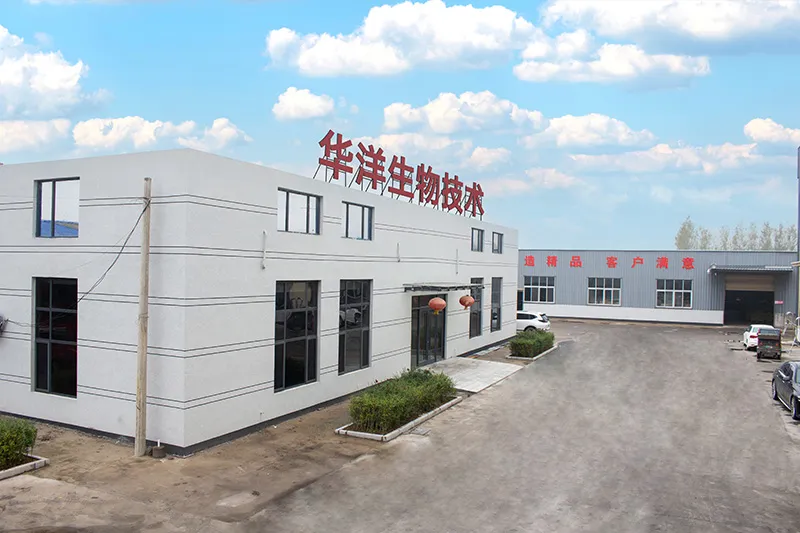 Factory Building Factory Building