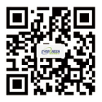 
Jinan Evergreen CNC Machinery Co., Ltd.