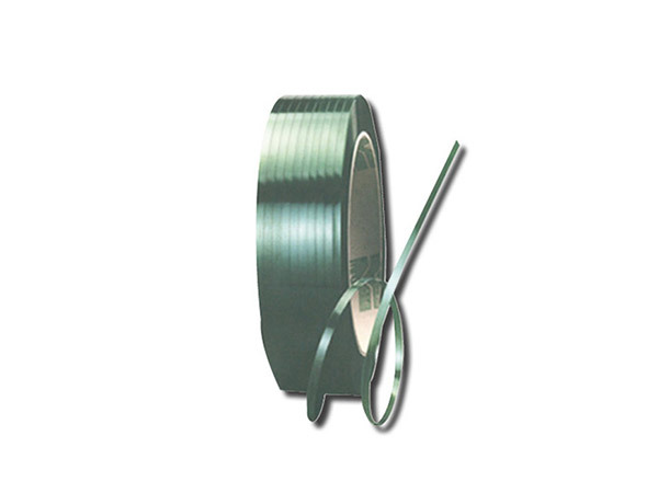 PET plastic steel belt