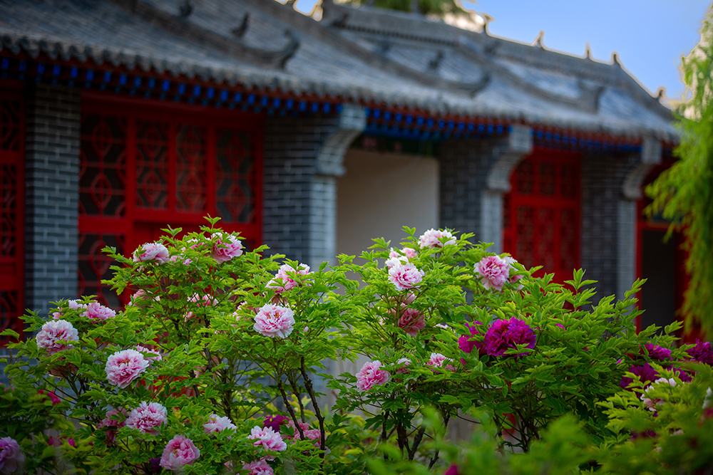 花香溢满园