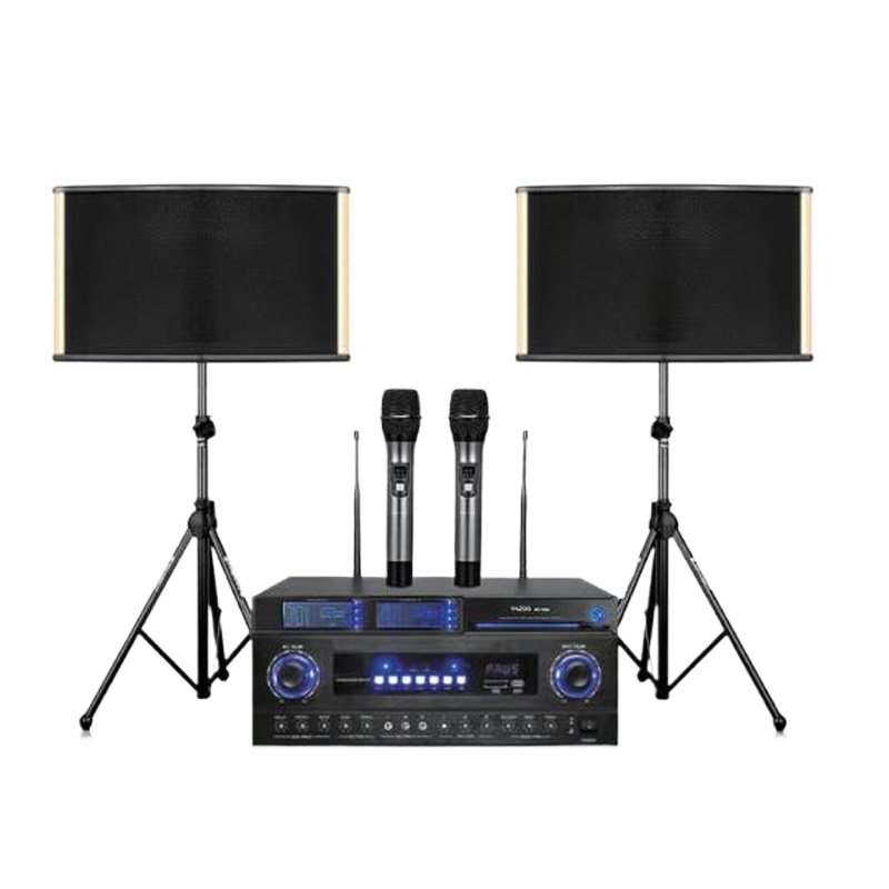 Professional speaker
