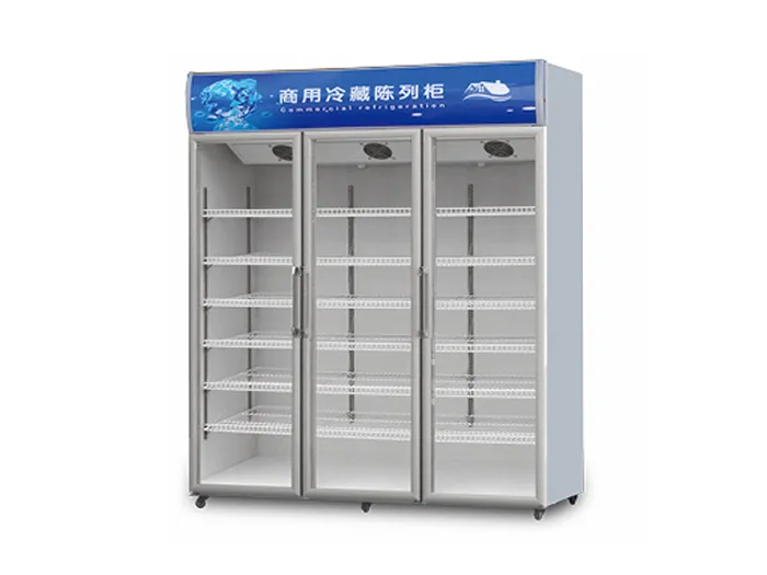 啤酒饮料展示柜(上置机)