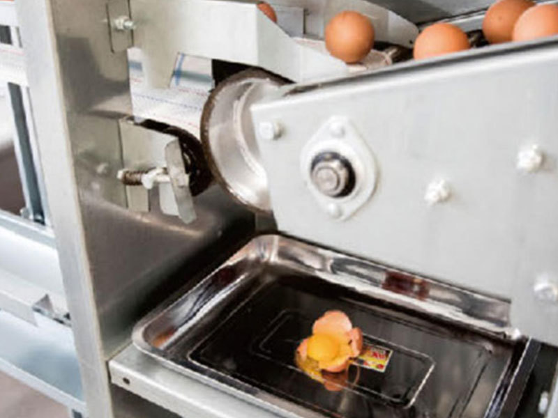 Chicken egg laying cages from China manufacturer