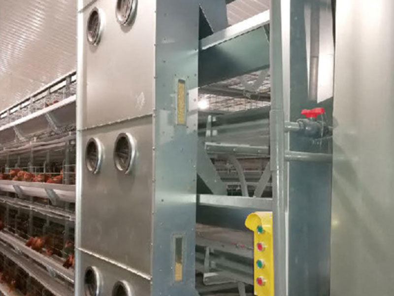 What Are the Benefits of Automatic Broiler Cage Systems