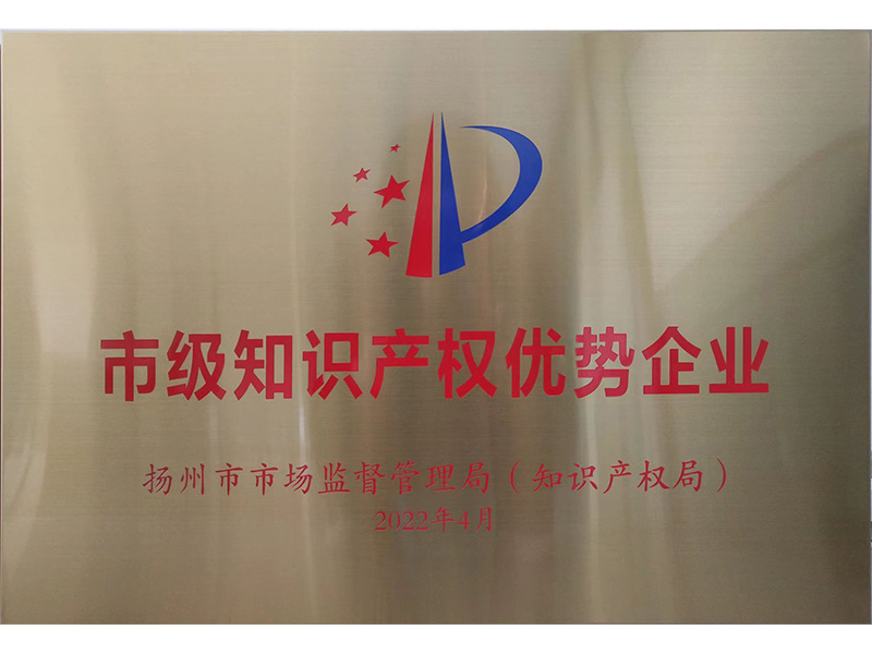 市級知識產(chǎn)權(quán)優(yōu)勢企業(yè)