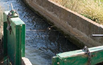 Understanding Turbidity Detectors: Essential Tools for Environmental Monitoring