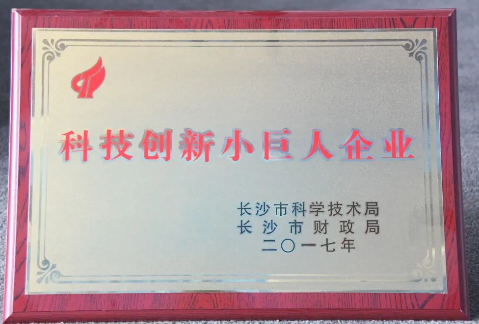 科技創(chuàng)新小巨人企業(yè) 科技創(chuàng)新小巨人企業(yè)