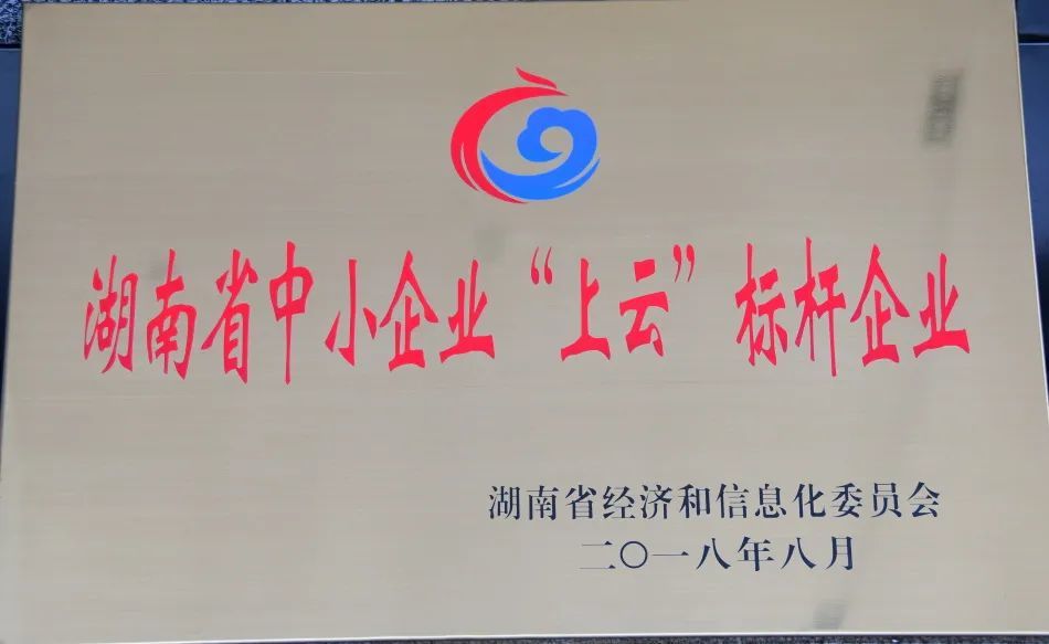 上云標(biāo)桿企業(yè) 上云標(biāo)桿企業(yè)