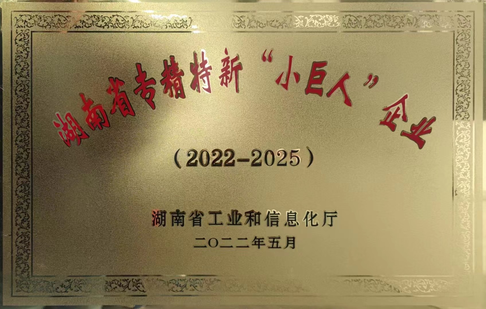 湖南省專精特新小巨人