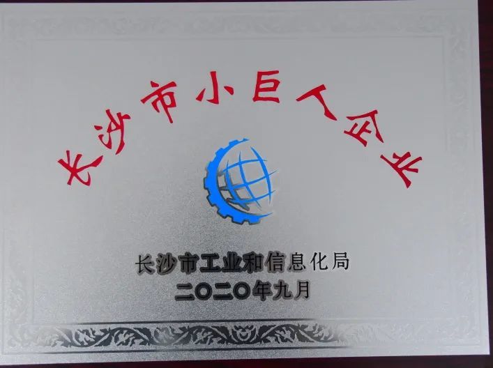 長(zhǎng)沙市小巨人企業(yè) 長(zhǎng)沙市小巨人企業(yè)