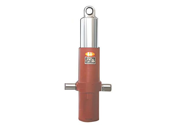Hydraulic cylinder series