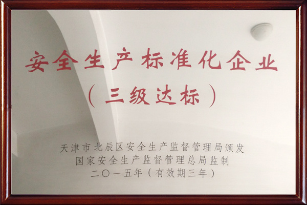 2015年安全生產(chǎn)標(biāo)準(zhǔn)化企業(yè)