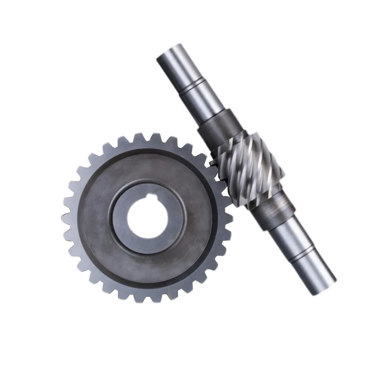 Worm And Worm Gear