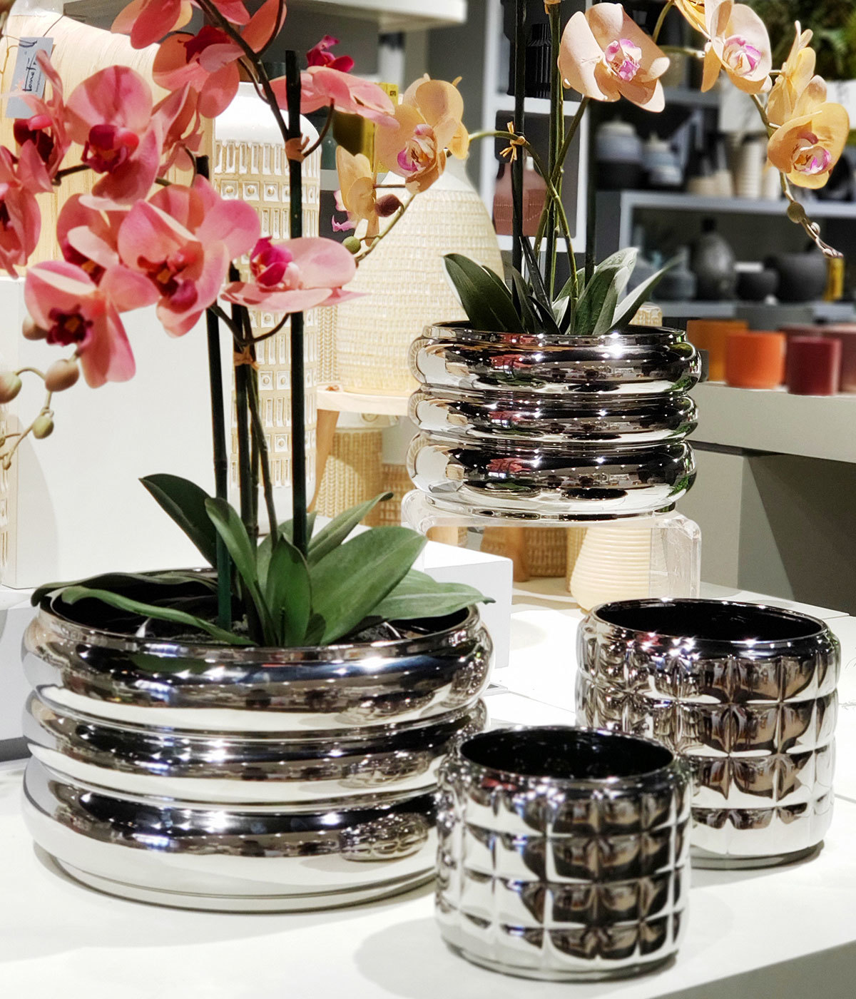 Main Differences Between Clay and Ceramic Flower Pots
