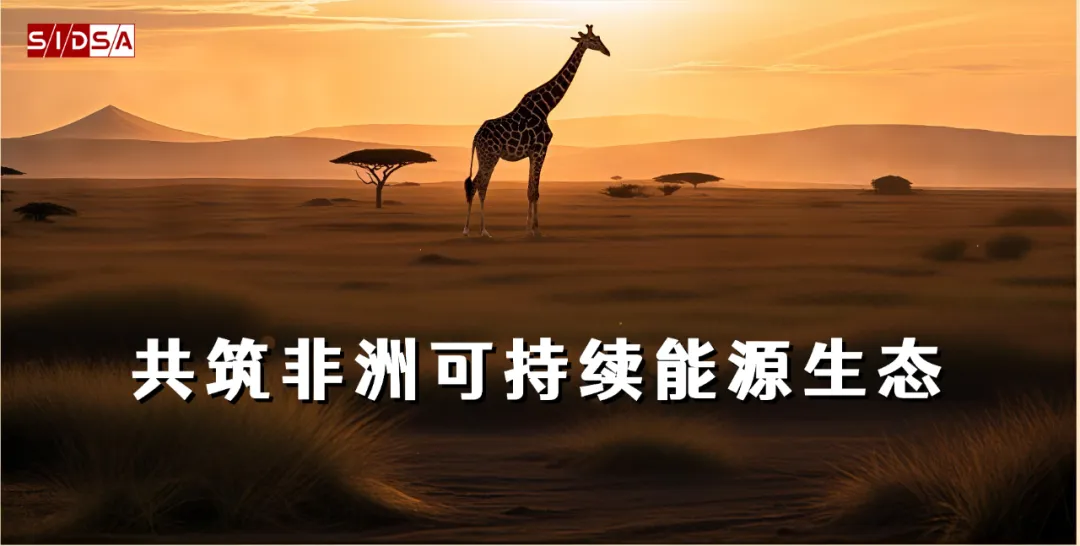 SIDSA丨Enlit Africa 2025: Exploring Sustainable Energy Development in Africa