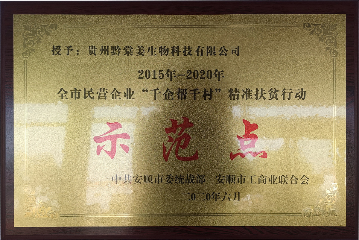 全市民營企業(yè)“千企幫千村”精準(zhǔn)扶貧行動(dòng)示范點(diǎn)