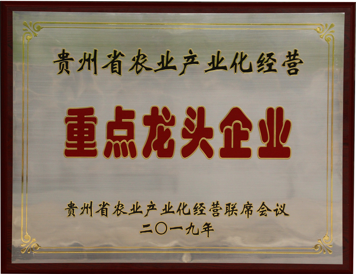 重點龍頭企業(yè)