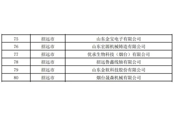 煙臺(tái)市級(jí)名單！招遠(yuǎn)6家企業(yè)入選！