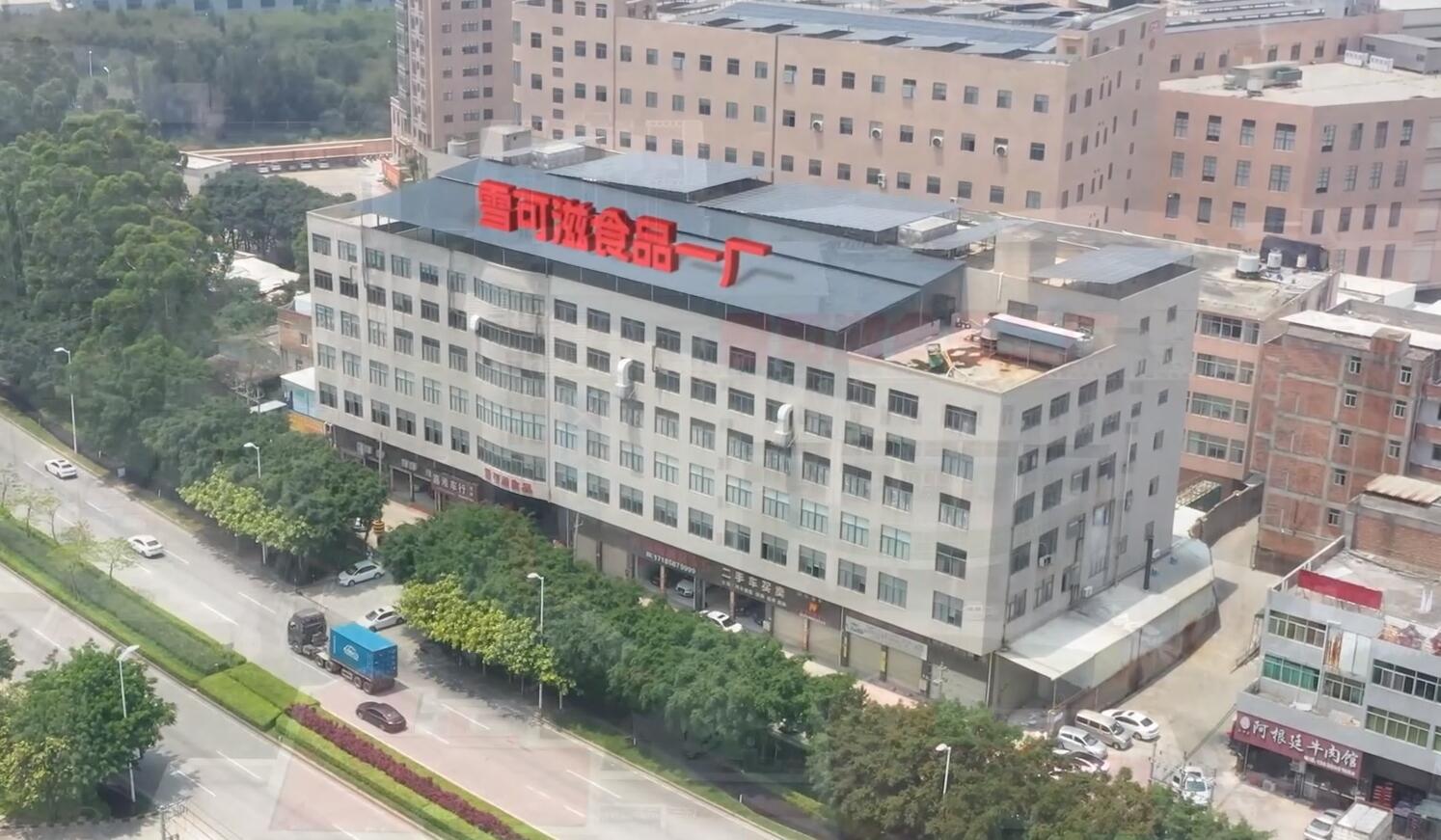 巧克力行业的成功案例：甜蜜的商业之路