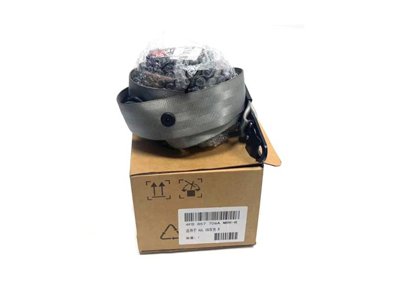 Cinturones 4FD857706MRR