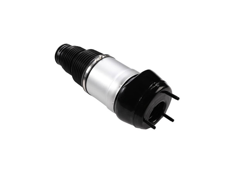 Atrás izquierda Amortiguador airbag 1663201313