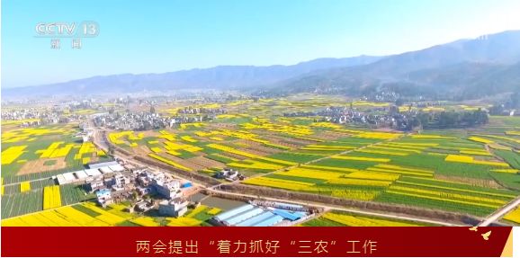 新闻 | 两会提出“着力抓好“三农”工作，深入推进乡村全面振兴