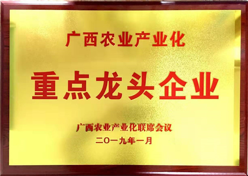 廣西華興食品集團有限公司獲得廣西農(nóng)業(yè)產(chǎn)業(yè)化重點龍頭企業(yè)