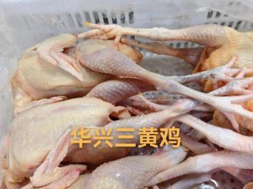 广西华兴食品集团有限公司生鲜系列鸡肉产品简介