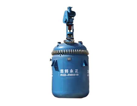New Blade Type Glass Lined Agitator