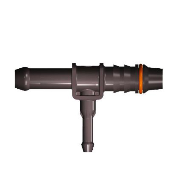 T3