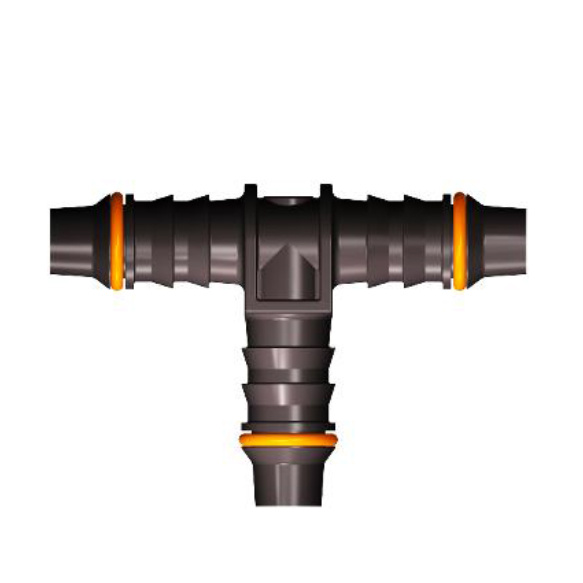 T2