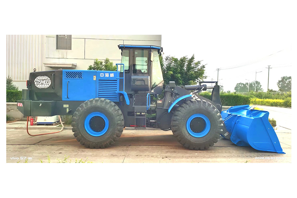 New energy loader