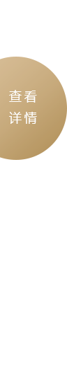 詳情