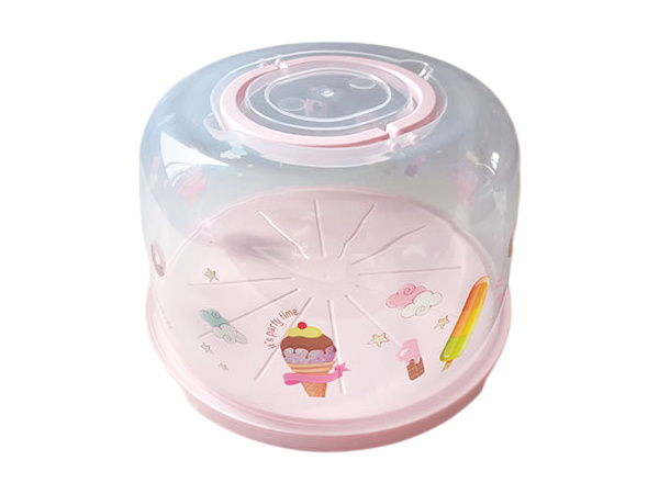 Large Cake Container with print