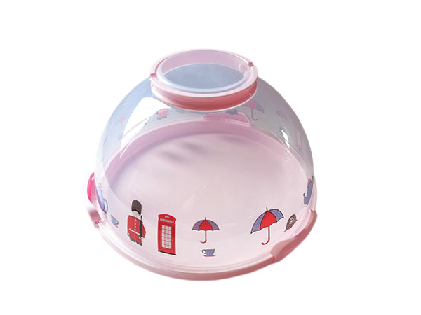 10inch plastic cake box with print