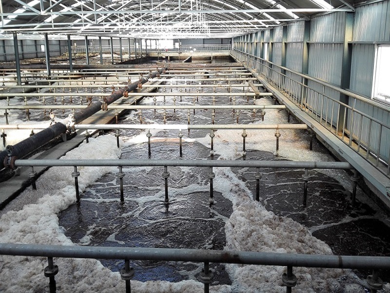山东昆达生物科技有限公司
